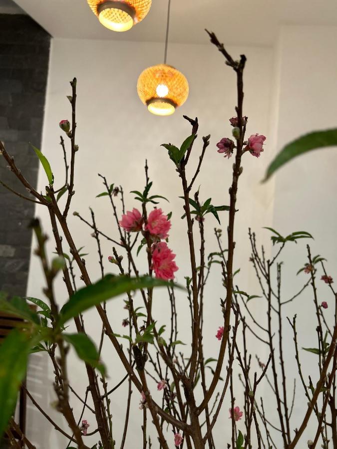 Vang Anh Homestay ホイアン エクステリア 写真